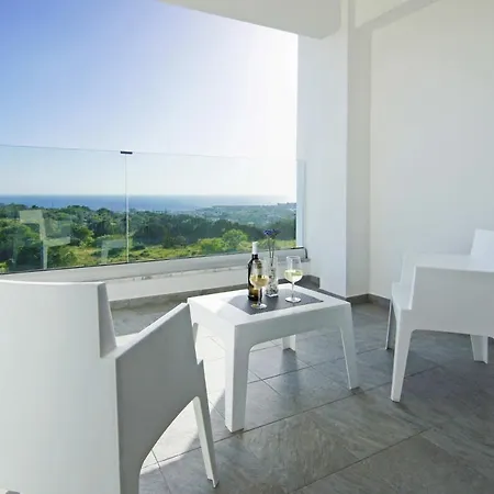 Napa View *